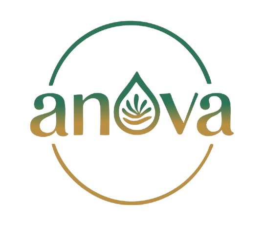 Anova Logo