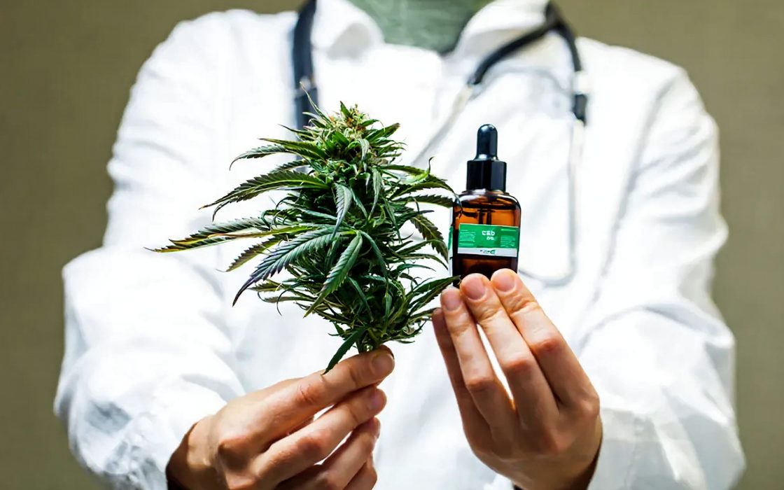 Profissional de saúde segurando um ramo da planta e um frasco de óleo